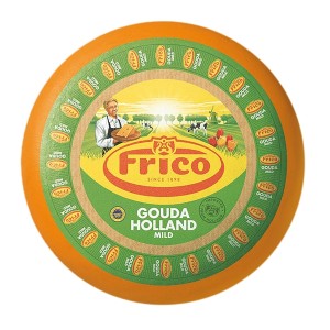 SER GOUDA FRICO LUZ TEMAR