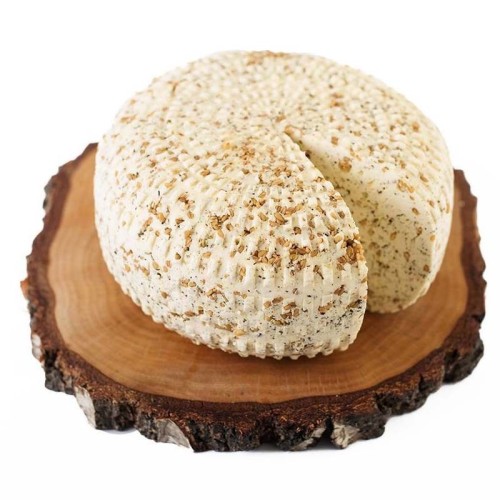 SER KORYCIŃSKI Z KOZIERADKĄ [2023-07-10 08:54:32]