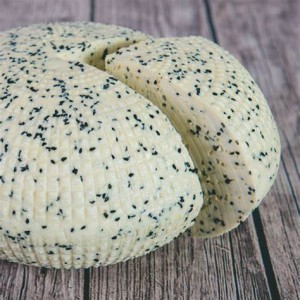 SER KORYCIŃSKI Z CZARNUSZKĄ LUZ