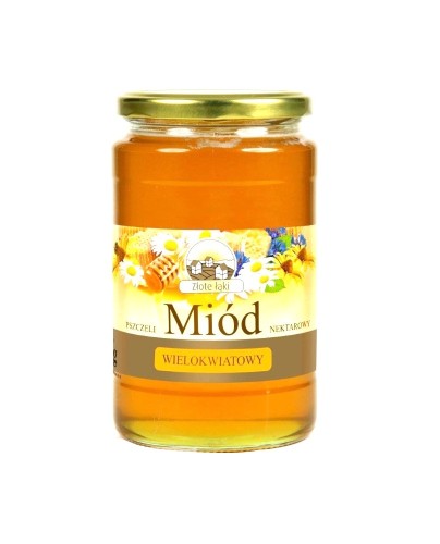 MIÓD WIELOKWIATOWY ZŁ.  ŁĄKI 1KG BARTNIK [2023-09-22 12:54:54]